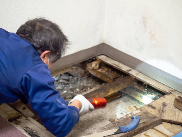 Best Water Damage Restoration  in New Castle, PA