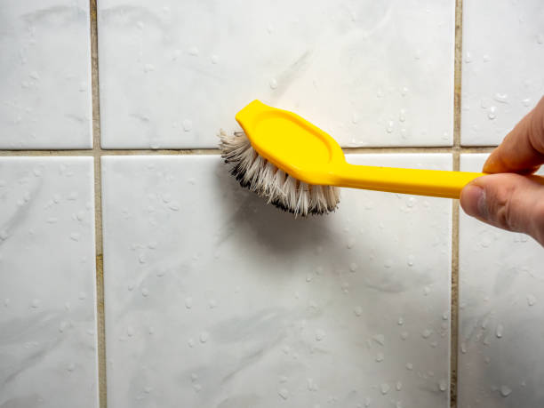 Best Mold Removal Near Me  in New Castle, PA