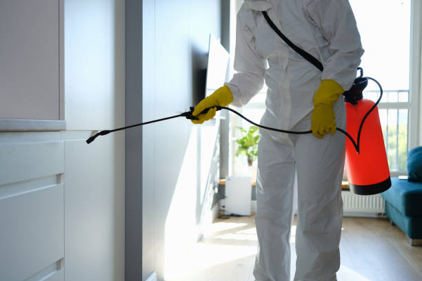 Mold Testing and Removal in New Castle, PA
