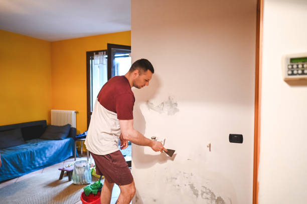 Best Commercial Mold Removal  in New Castle, PA